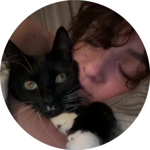 😽 Стикер «Корямбус» для Telegram