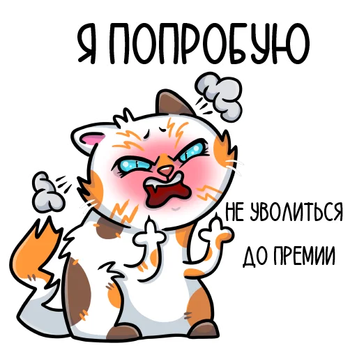 🤬 Стикер «кошечки мои приедут» для Telegram