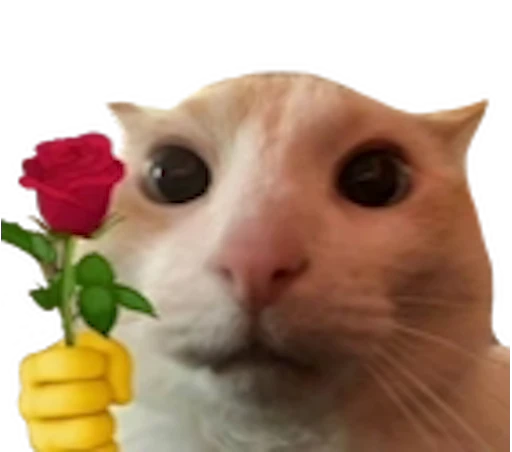 🌹 Стикер «meme» для Telegram