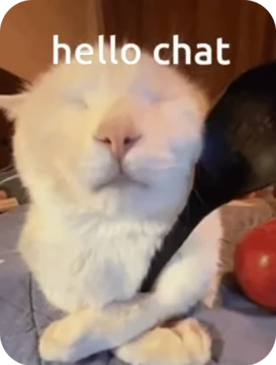 🌟 Стикер «Кот» для Telegram