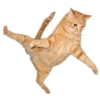 Стикер 3 Кошки