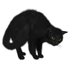 Стикер 47 Кошки