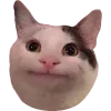 Стикер 7 Кошки