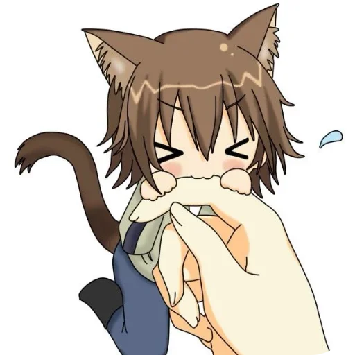 👄 Стикер «Кошкомальчики» для Telegram