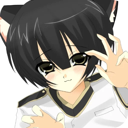 💇 Стикер «Кошкомальчики» для Telegram