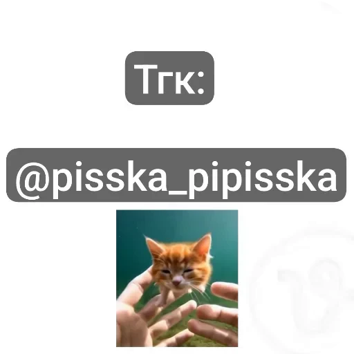 👏 Стикер «Которыбы» для Telegram
