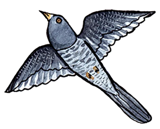 🐦‍⬛ Стикер «kosmonozhka 2024» для Telegram