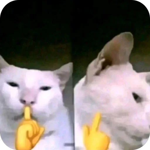 🫥 Стикер «Злые котики» для Telegram