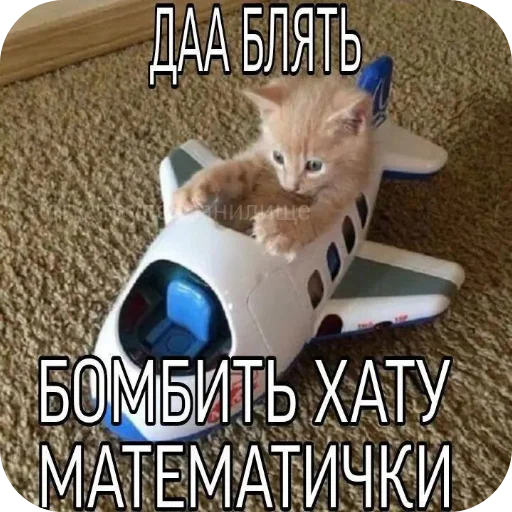 👍 Стикер «Злые котики» для Telegram