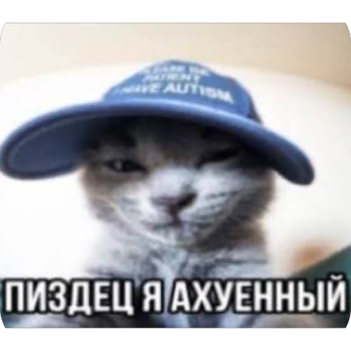 🫥 Стикер «Злые котики» для Telegram