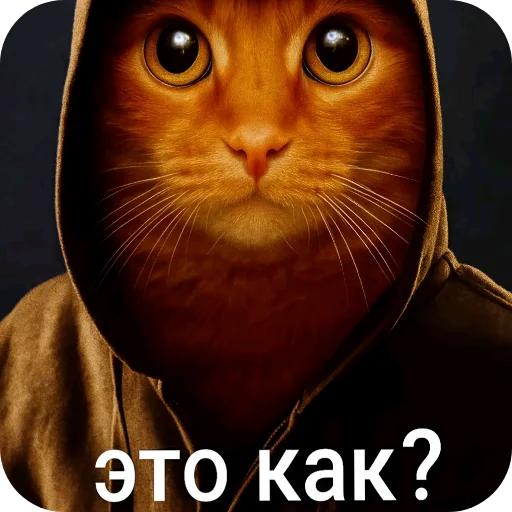 🐱 Стикер «Злые котики» для Telegram