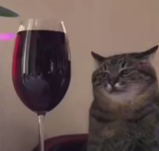 🍷 Стикер «Котята» для Telegram