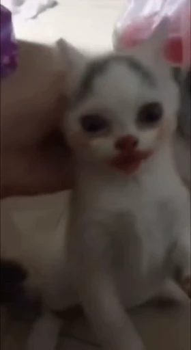 🤡 Стикер «Котята» для Telegram