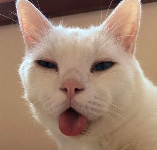 😜 Стикер «котяра» для Telegram