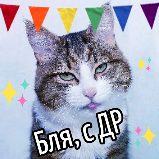 🎂 Стикер «Кот "Бля" ?» для Telegram