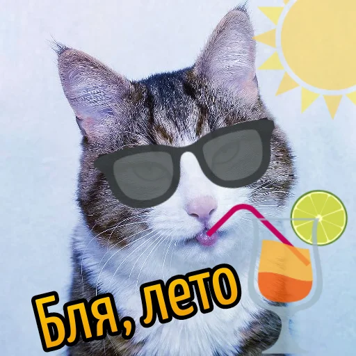 ☀ Стикер «Кот "Бля" ?» для Telegram