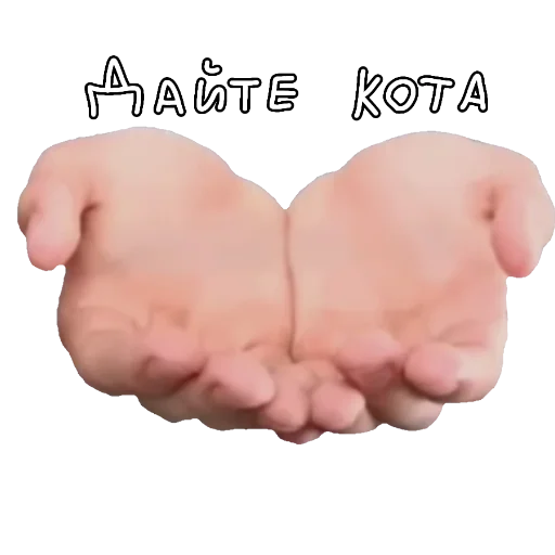 🤲 Стикер «Кот Мяка» для Telegram