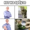 Стикер 21 Кіт На Гарбузі
