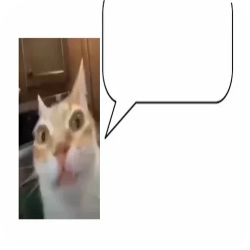 ☹ Стикер «Кот Нормас» для Telegram