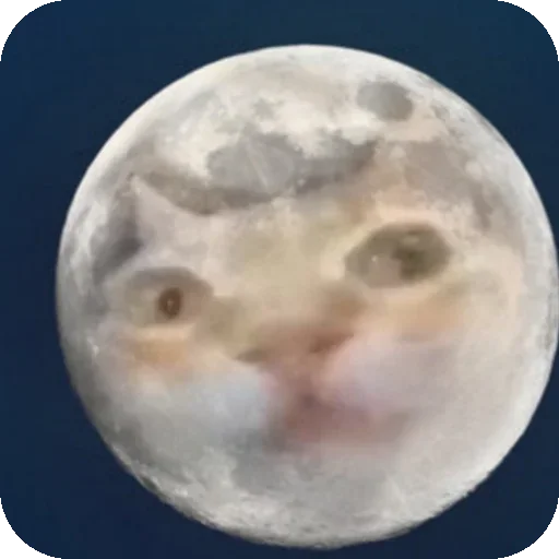 🌝 Стикер «Кот Нормас» для Telegram