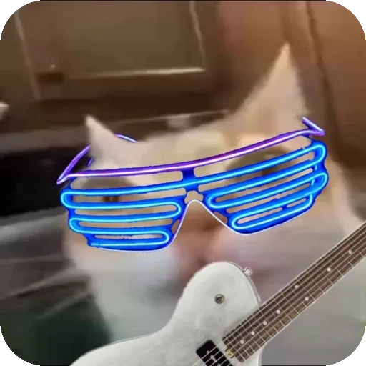 🎸 Стикер «Кот Нормас» для Telegram