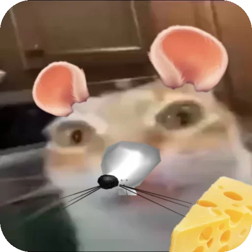 🐭 Стикер «Кот Нормас» для Telegram
