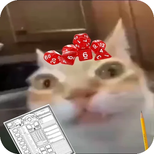 🤓 Стикер «Кот Нормас» для Telegram