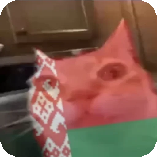 🇧🇾 Стикер «Кот Нормас» для Telegram