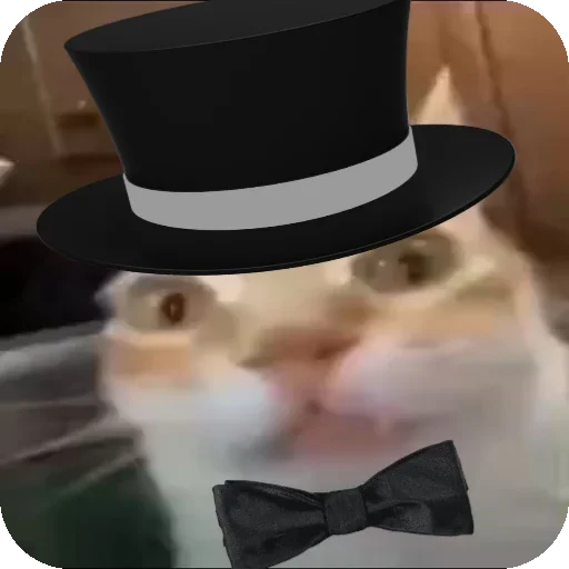 🎩 Стикер «Кот Нормас» для Telegram