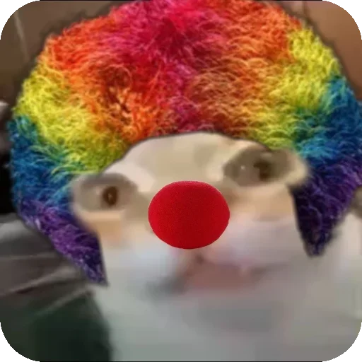 🤡 Стикер «Кот Нормас» для Telegram