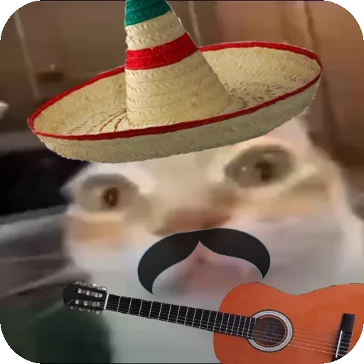 🎸 Стикер «Кот Нормас» для Telegram