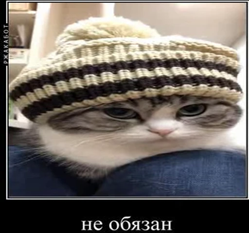 😛 Стикер «kotAhuel» для Telegram