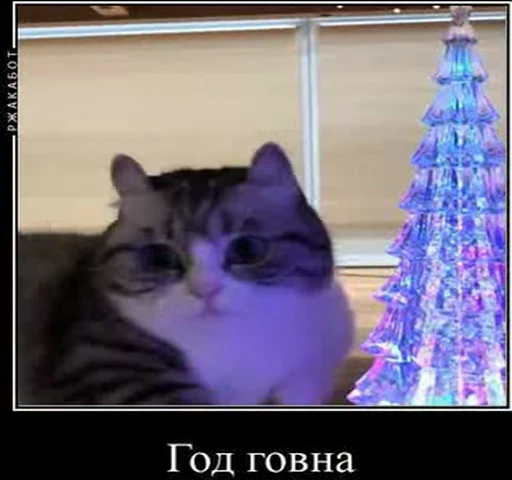 🤕 Стикер «kotAhuel» для Telegram