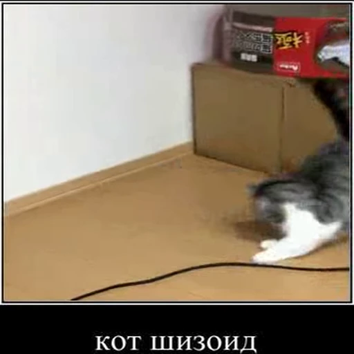 🤯 Стикер «kotAhuel» для Telegram