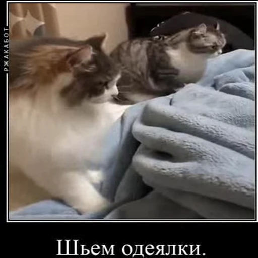 🛠 Стикер «kotAhuel» для Telegram