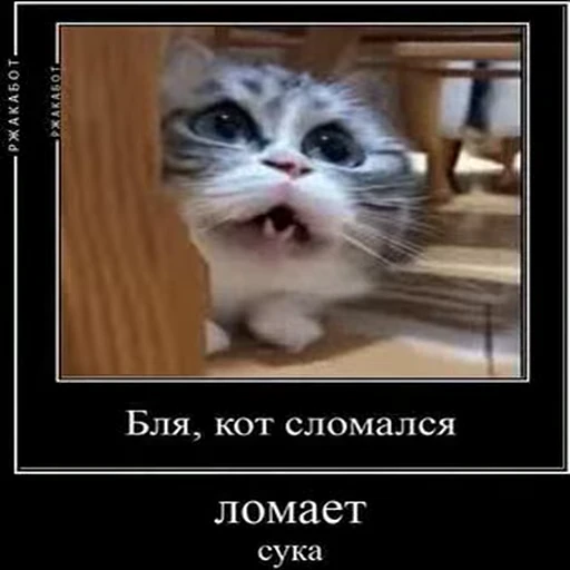 🤒 Стикер «kotAhuel» для Telegram