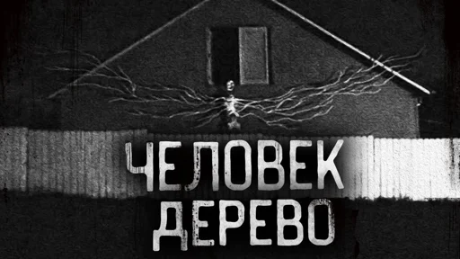 🌲 Стикер «Страшные истории» для Telegram