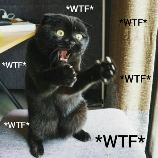 🥴 Стикер «Котыки» для Telegram