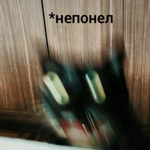😳 Стикер «Котыки» для Telegram