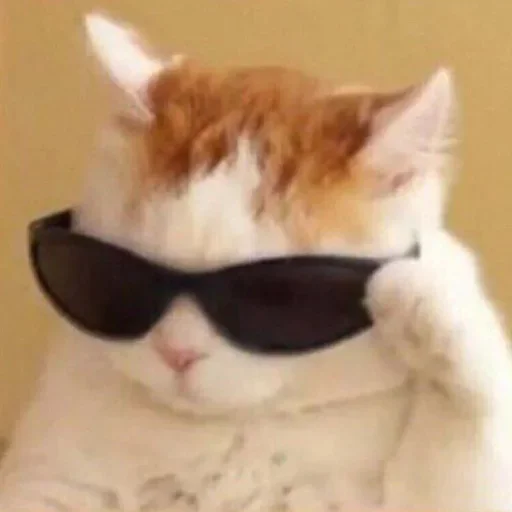 😎 Стикер «Котыки» для Telegram