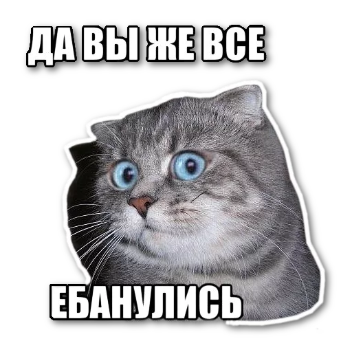 Стикерпак котэпак для Telegram