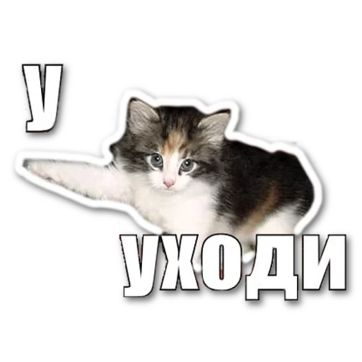 🚶 Стикер «котэпак» для Telegram