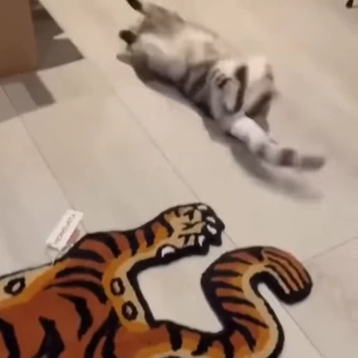 🤩 Стикер «Котейки» для Telegram