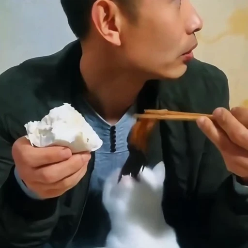 🤩 Стикер «Котейки» для Telegram