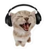 Стикер 31 Котеки Tg