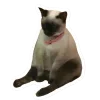 Стикер 53 Котеки Tg