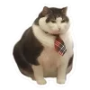 🤩 Эмодзи «Котеки Tg» для Telegram