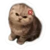 🤩 Эмодзи «Котеки Tg» для Telegram