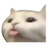 🤩 Эмодзи «Котеки Tg» для Telegram
