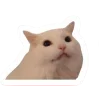 Стикер 57 Котеки Tg
